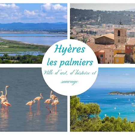 Le Serenite -clim-wifi-proche Centre Ville-plages Appartamento